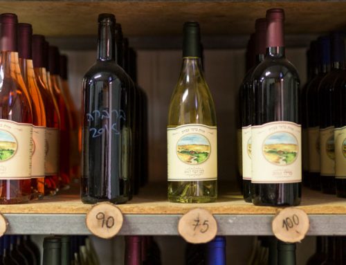 Le Lait, le Miel et le Vin: les Vignobles d’Israël