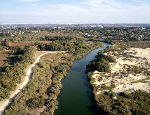 5 Magnifiques Sites dans le Sharon