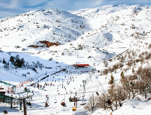 Mount Hermon area – More than snow