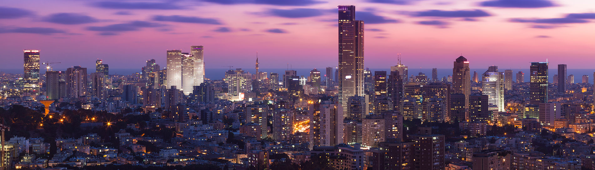 The Startup Nation: High Tech in Israel