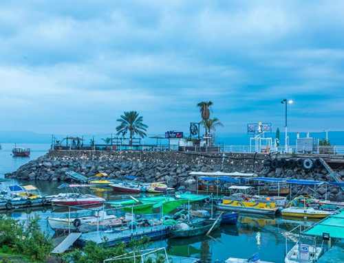 Kinneret Beaches: Visit the Sea of Galilee