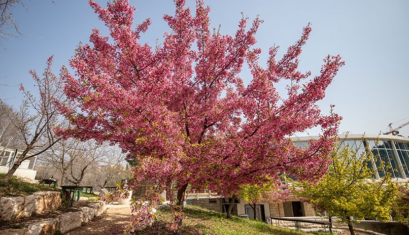 Les Jardins Botaniques de Jérusalem