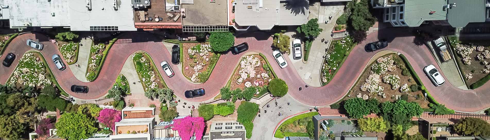 הכי כיף בסן פרנסיסקו: 10 דברים שחייבים לעשות בעיר