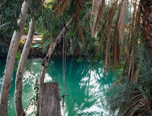 Rivières dans le Nord: Dan, Banias et H’azbani