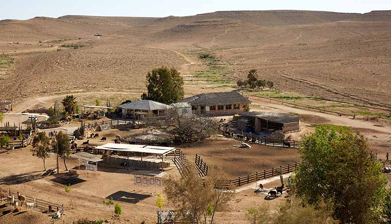 Vue aérienne de la Ferme des Alpagas. Photo: Lior Avitan