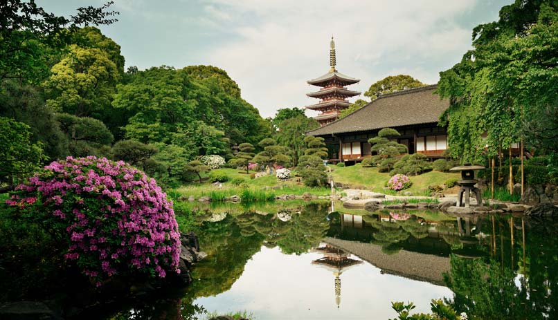 מקדש סנסו-ג'י, טוקיו