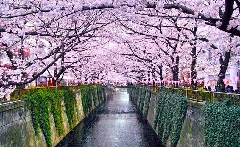 נהר מגורו, טוקיו