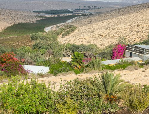 Vacationing at Solitary Farms