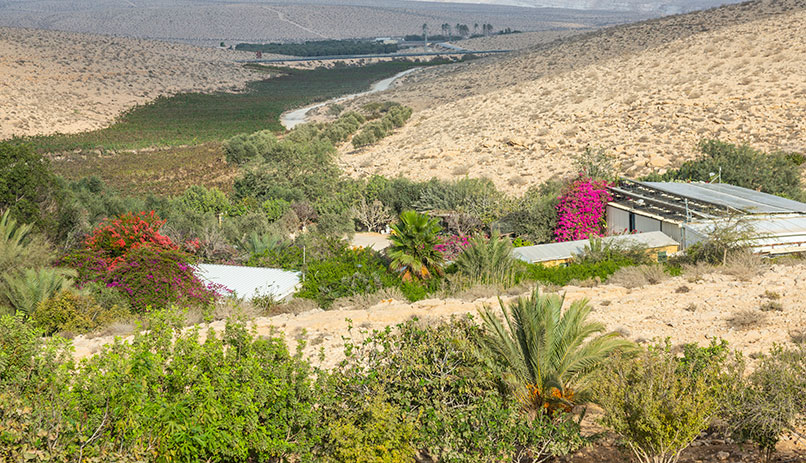 Solitary farms in Israel. Photo by Udi Goren