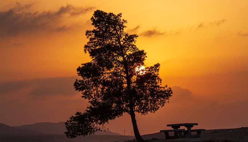 Lone Farms in Israel