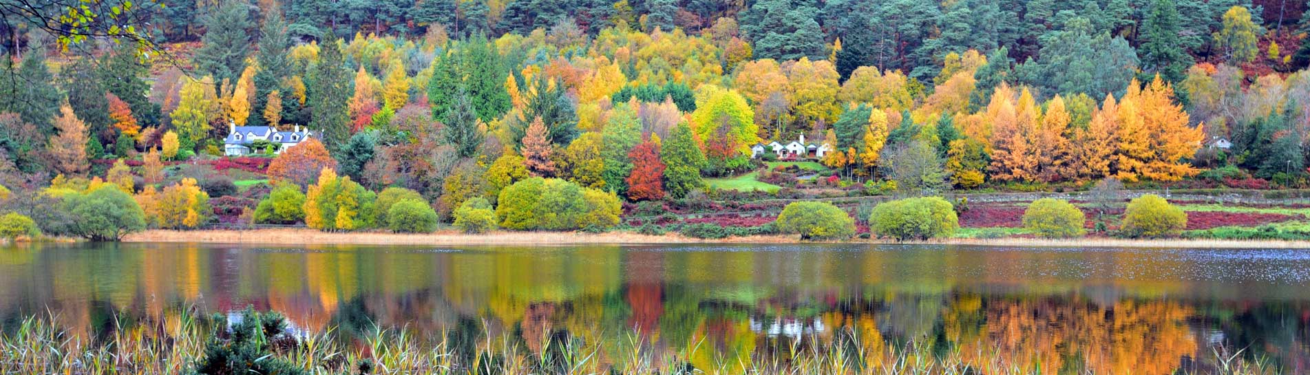 לאן טסים ב-2024? כל היעדים המומלצים