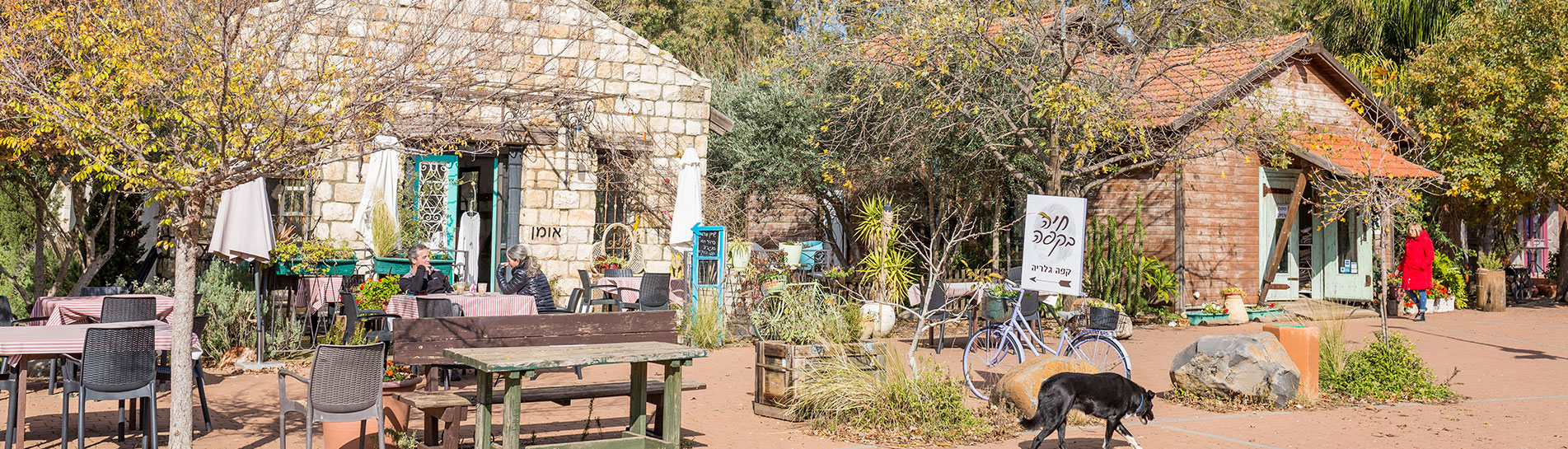 Visite Inspirante: Villages d’Artistes en Israël