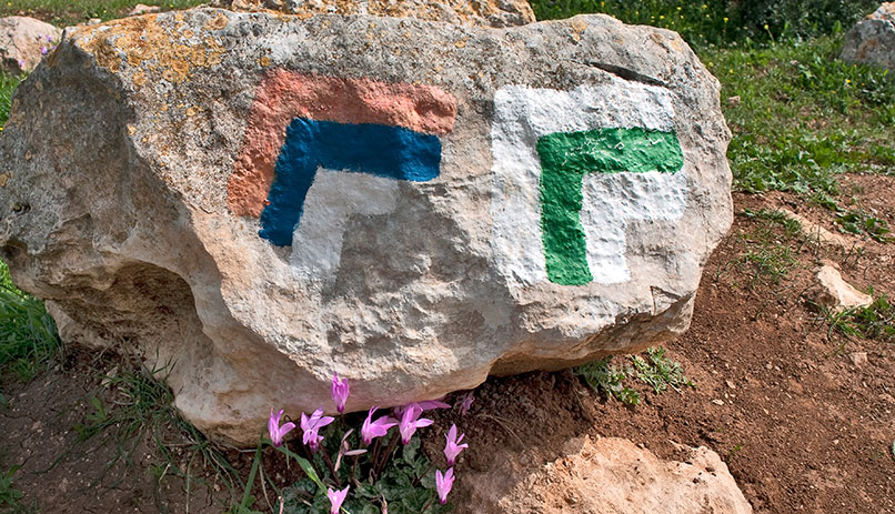The Israeli National Trail