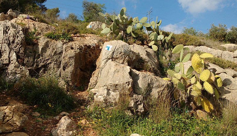 A part of Israel National Trail