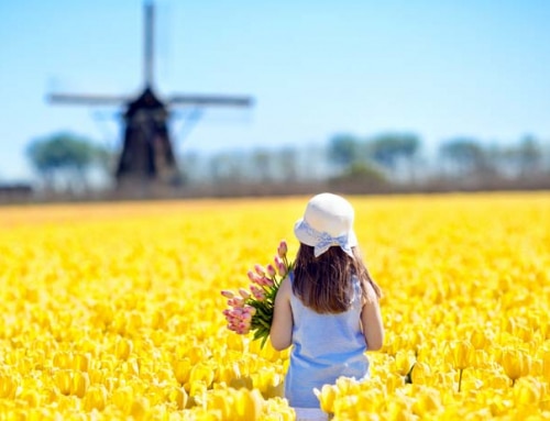 לאן טסים עם המשפחה בקיץ? 5 היעדים הכי אהובים