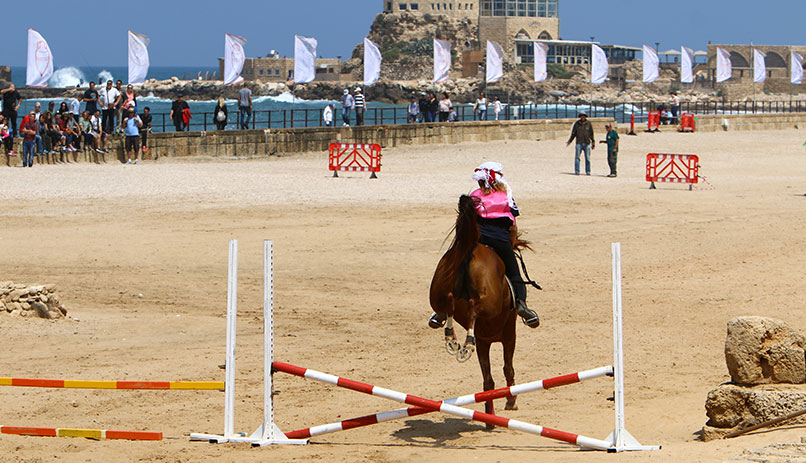 A horse in Caesarea Hippodrome