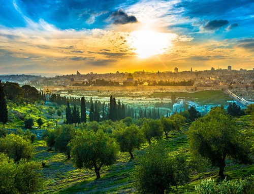 Mount of Olives: The mountain range in Jerusalem