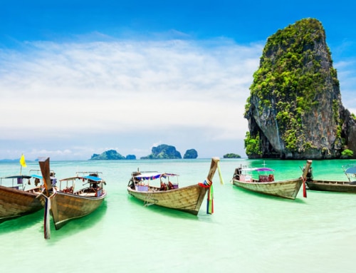 פוקט עם ילדים: חופשה לכל המשפחה