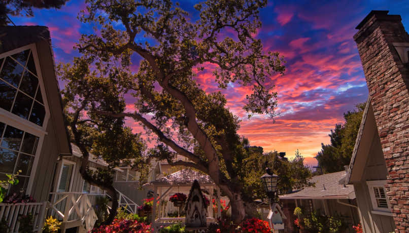 העיירה כרמל על הים