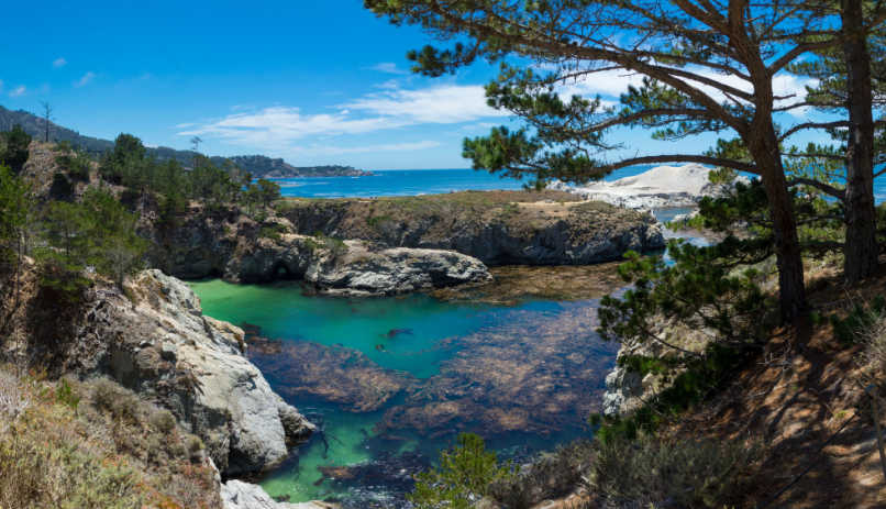 שמורת פוינט לובוס