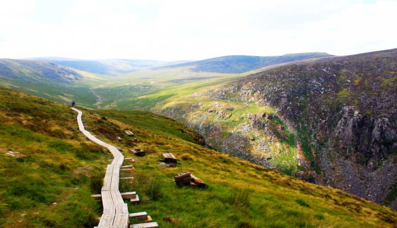 Wicklow