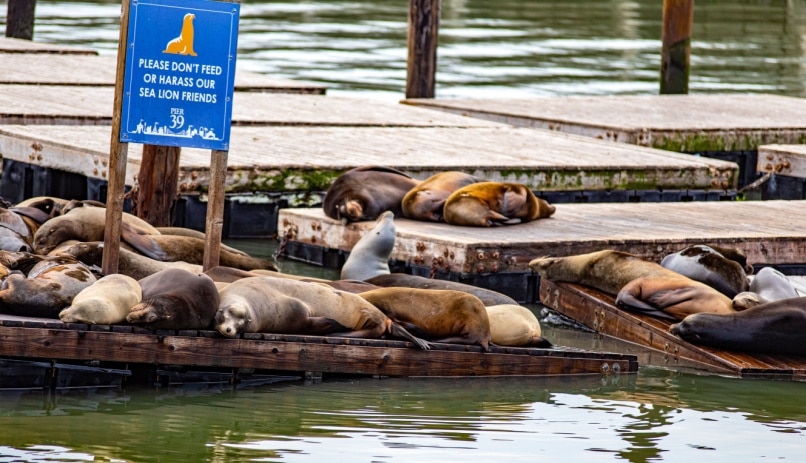 fishermans-Wharf