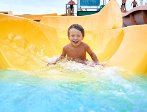 פארקי מים בבודפשט – המדריך השלם לחופשה רטובה בבירת הונגריה