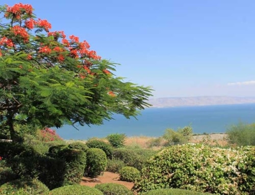 Mount of Beatitudes